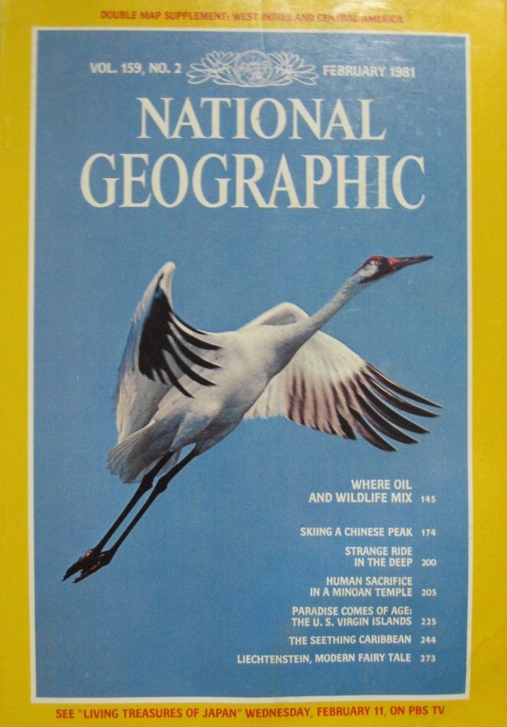 National Geographic February 1981 National Geographic Back Issues