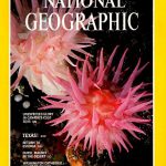 National Geographic April 1980-0