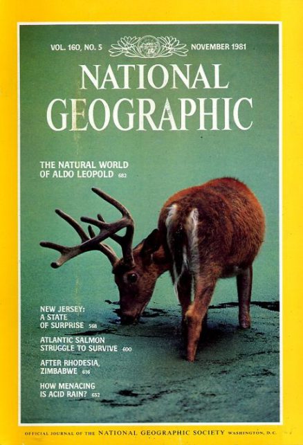 National Geographic November 1981 - National Geographic Back Issues