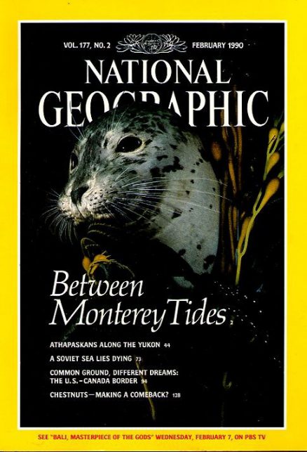 Category: 1990 - 1999 - National Geographic Back Issues