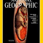 National Geographic May 1996-0