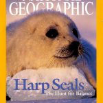 National Geographic March 2004-0