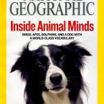 National Geographic March 2008-0