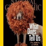 National Geographic February 2012-0
