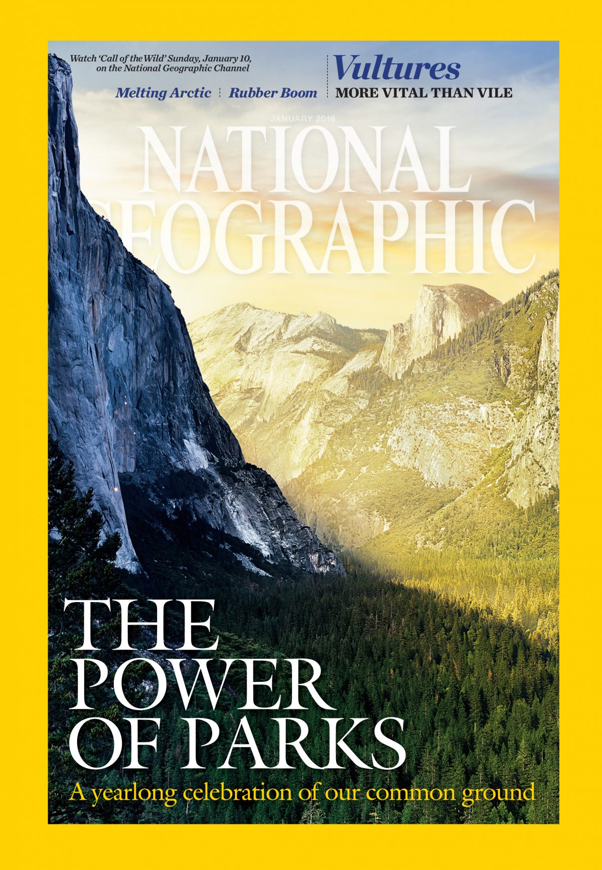 National Geographic January 2016 National Geographic Back Issues