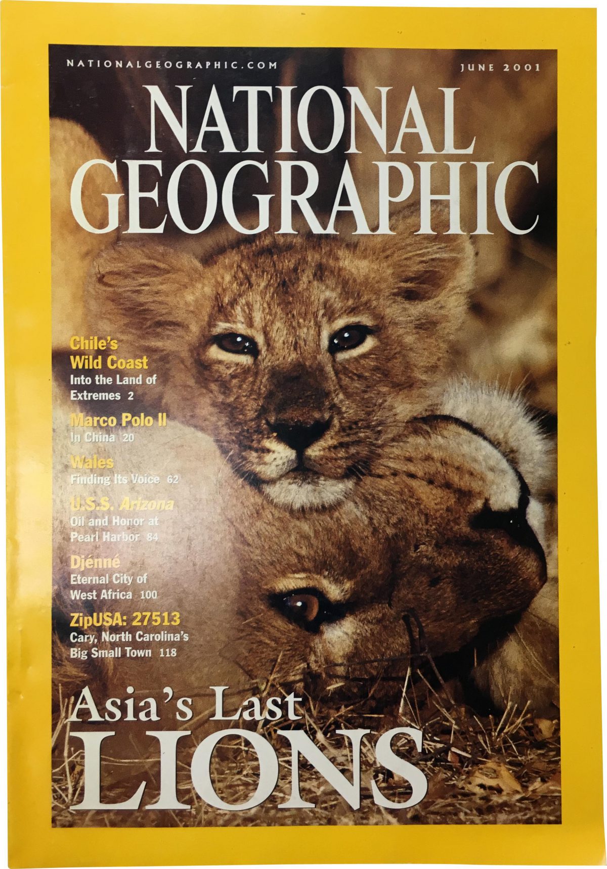 National Geographic June 2001 - National Geographic Back Issues