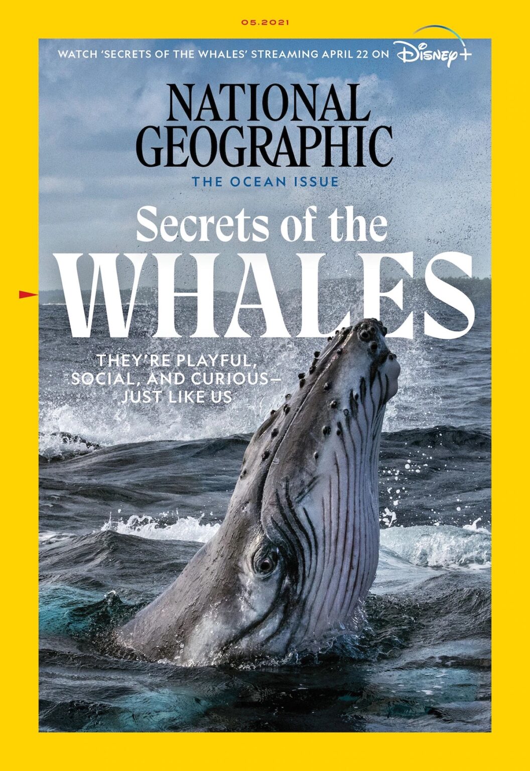 may-2021-national-geographic-back-issues