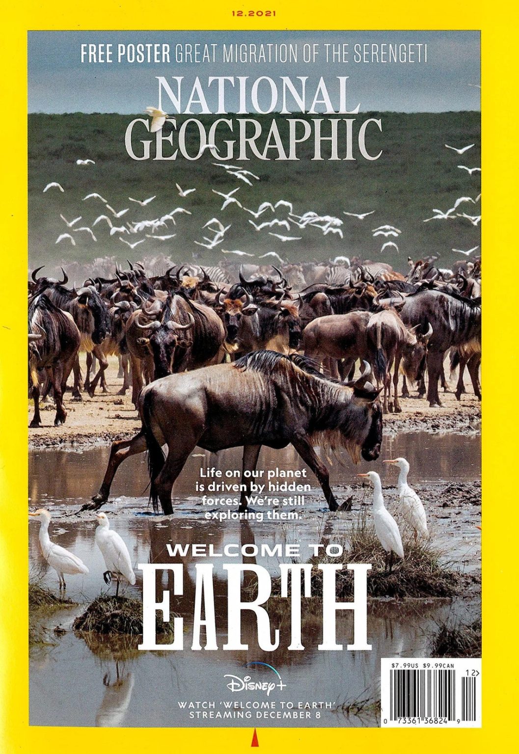 december-2021-national-geographic-back-issues